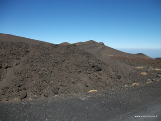 nte Pizzillo-21-10-2012 11-02-55